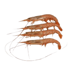 LANGOSTINO AUSTRAL GOURMET ENTERO L-2 C/12 KG