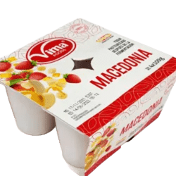 YOGOURT MACEDONIA (POSTRE LACTEO SIN FRIO)100 GR C/ 48