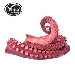 PULPO GOURMET+3 C/ APROX 11 KG