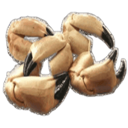MUELAS DE BUEY C/5 KG